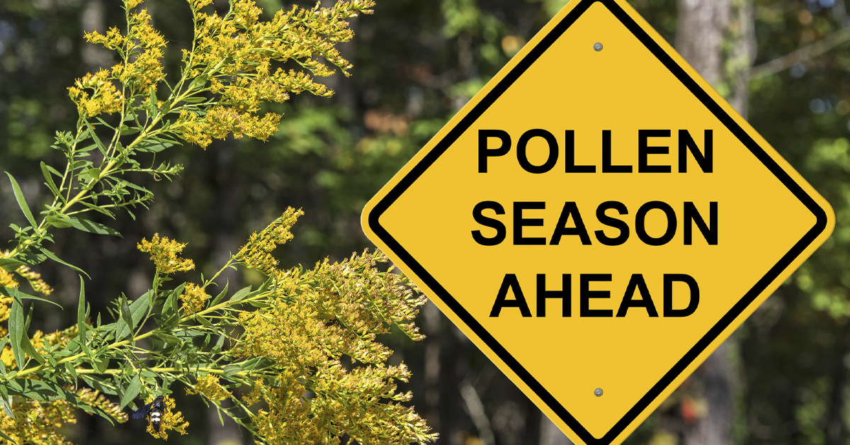 Understanding the daily pollen count